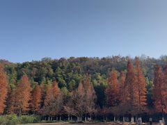 -南山风景名胜区