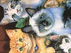 -李小姐の猫咖啡馆(五角场店)