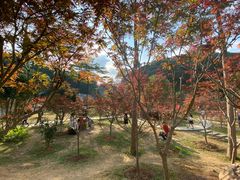-广州市帽峰山景区