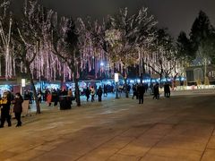 -大雁塔北广场音乐喷泉