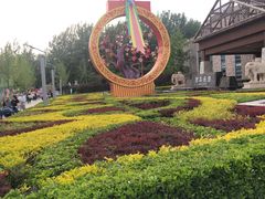 -南宫五洲植物乐园