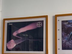 -瑞派福兴宠物医院犬猫全科·骨科·中西医结合(河东店)