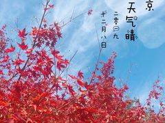 -南京特殊教育师范学院(燕子矶校区)