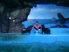 -多彩贵州城极地海洋世界