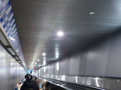 -白鹤梁水下博物馆