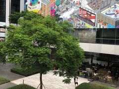 -星巴克臻选(深圳万象天地旗舰店)