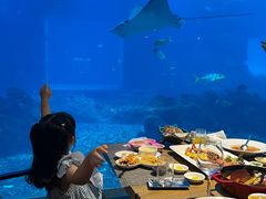 -涛·海底餐厅·美人鱼·自助餐·海底隧道(三亚海棠湾洲际度假酒店)