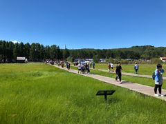 -塞罕坝国家级自然保护区