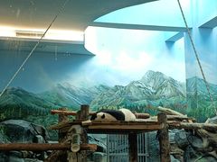 -武汉动物园