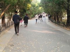 -八大关景区