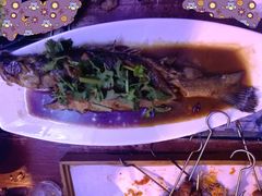 -姥姥家大缸烧烤(台东店)
