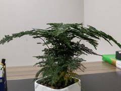 -方记六道菜馆(生态公园店)