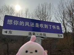 -遇见小院—虹鳟鱼•农家菜(怀柔店)