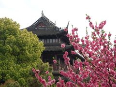-苏州吴宫泛太平洋酒店