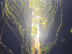 -梭布垭石林景区