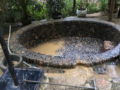 -100蛋泥浆浴