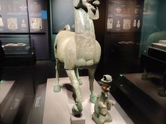 -广西壮族自治区博物馆