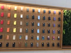 -Apple零售店(苏州店)