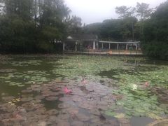 -四海公园(南山区)