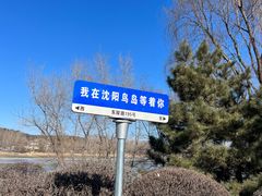 -沈阳鸟岛