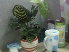 办公一角-娜娜度假小旅馆