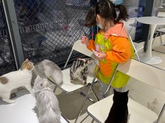 -怪兽屋·羊驼·猫咖·狗咖(俊华广场店)