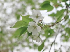 -中山公园