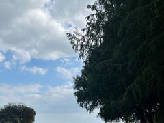 -贡湖湾湿地公园