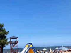 -日照海滨国家森林公园
