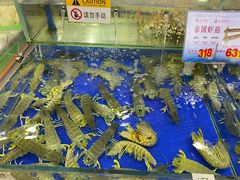 水产区-东江海鲜酒家(艺都分店)