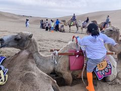 -银肯塔拉沙漠生态旅游景区