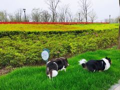 -上海山野camping·户外天幕烧烤·团建拓展营地
