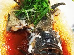 -万圣禄茶楼(西平店)