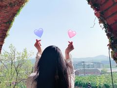 -北马山庄植趣咖啡