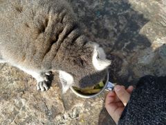 -无锡动物园·太湖欢乐园