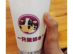 -一只酸奶牛(捞沙巷店)