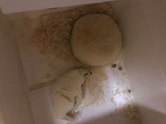 老北京绿豆饼-老北京绿豆饼(解放路店)