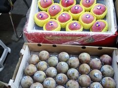 -上海龙吴水胜海发市场