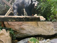 -长鹿旅游休博园