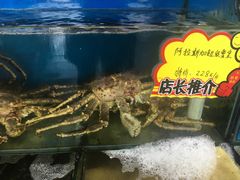 阿拉斯加蟹皇-蚝专家(北滘店)