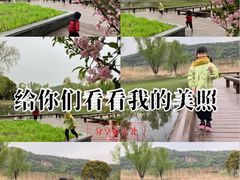 -长广溪湿地公园