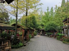 -青城甲(青城山店)