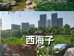 -西海子公园