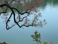 -蒋氏故居