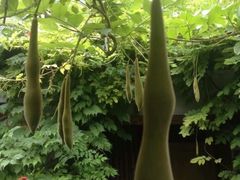 -斯多格书乡(北京大学畅春园店)