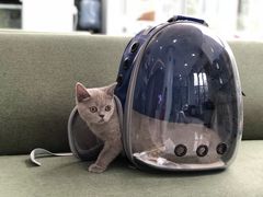 -北京恒爱动物医院(清景园分院)