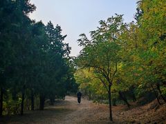 -十三陵水库