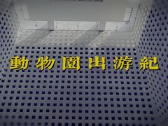 -敦煌市博物馆