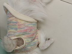 -怪兽屋·羊驼·猫咖·狗咖(俊华广场店)