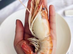 -金私燕鲜炖燕窝(万达店)